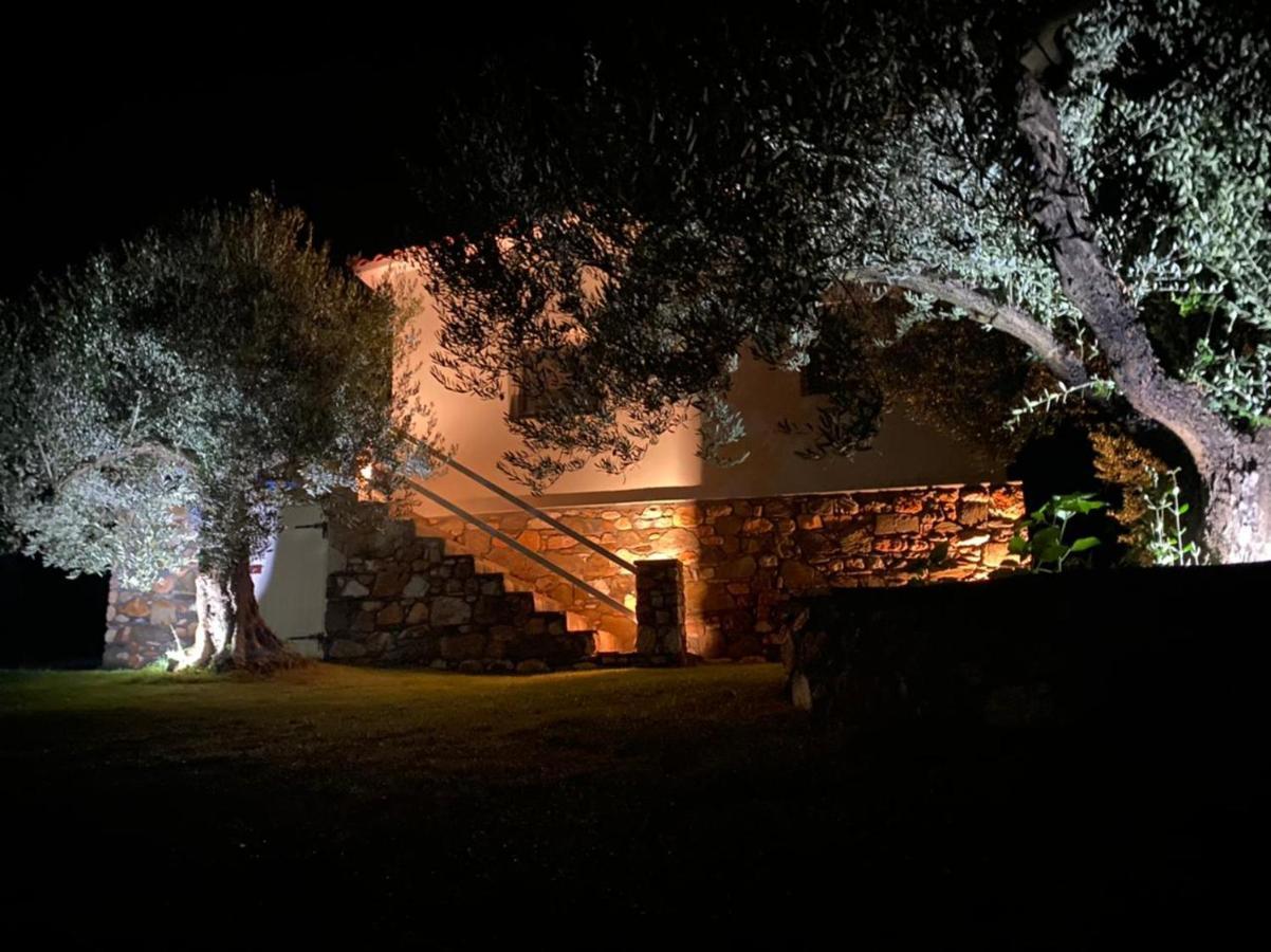 Villa Kladi Νικήτη Εξωτερικό φωτογραφία